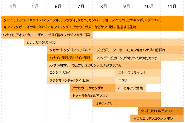 海のトピックス