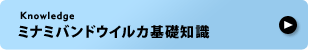 �~�i�~�o���h�E�C���J��b�m��