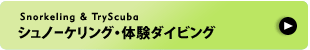 シュノーケリング・体験ダイビング