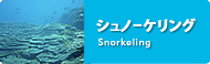 伊豆 シュノーケリング