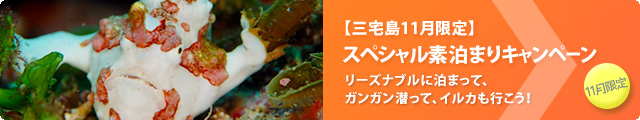 イルカわくわくキャンペーン