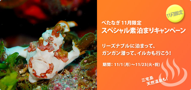 11月限定素泊まりスペシャル