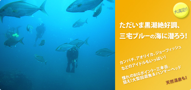 三宅島ダイビング黒潮絶好調