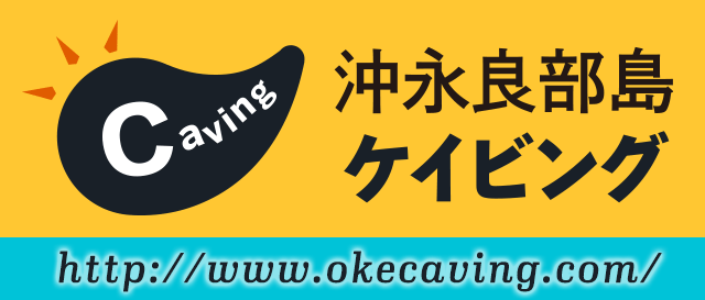 沖永良部島鍾乳洞ケイビングツアー