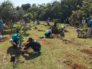 知名町植樹祭２