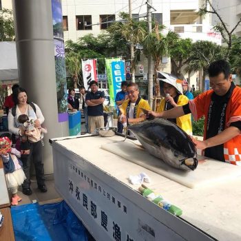 マグロ解体ショー 奄美群島南三島フェア 沖縄