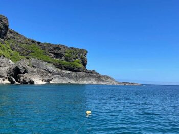 夏の海！