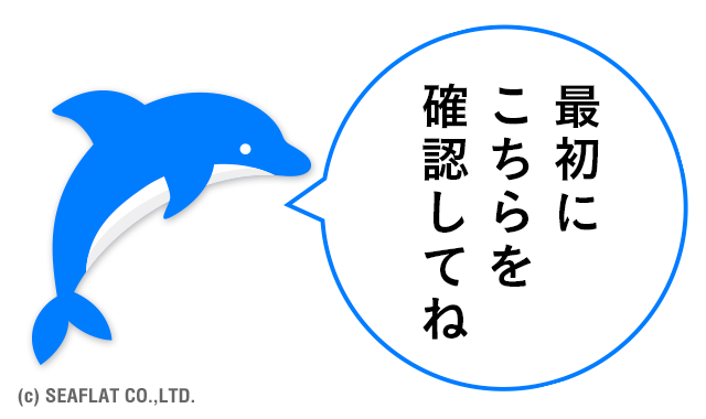 野生のイルカと泳ぐ至福の御蔵島ドルフィンスイムツアー 三宅島から行く べたなぎ