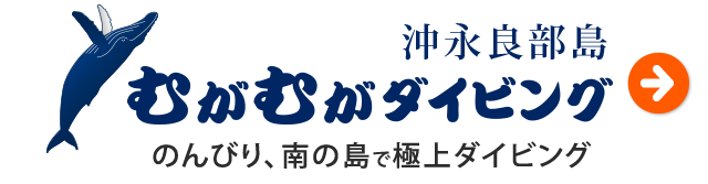 沖永良部島むがむがダイビング