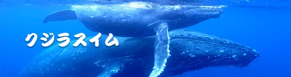 クジラスイム