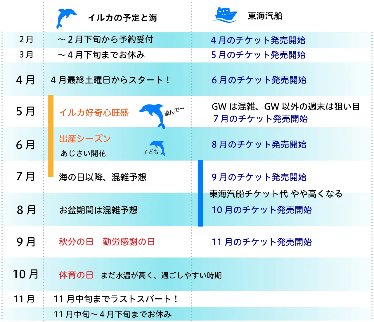 ドルフィンスイム 年間スケジュール