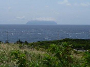 イルカの聖地　御蔵島