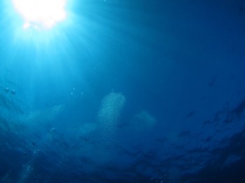 海猿のオープニング状態