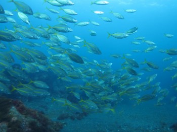 流れるんです