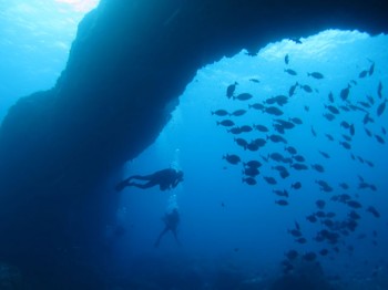 アーチ、人、魚影