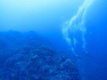 三宅ブルーと流れもね。