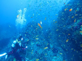 水族館状態や～。