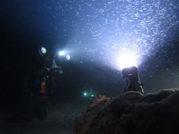 究極の集魚灯。